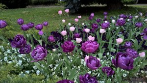 WP_20160425_13_03_05_Pro[1]