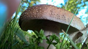 WP_20160526_19_13_25_Pro[1]