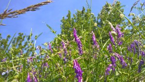 WP_20160527_09_58_20_Pro[1]