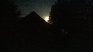 WP_20160621_22_24_42_Pro[1]